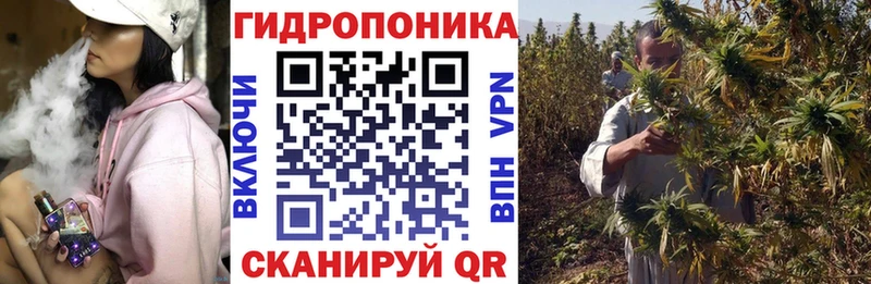 Марихуана тримм hydra tor Сенгилей